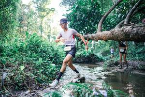 BIB: 
                            <button type="button" onclick="openModal(25431159)" class="btn btn-primary btn-sm float-right btn-popup" data-toggle="modal" data-target=".modal-high-quality">
                        <i class="fas fa-shopping-cart"></i> Add to Cart
                    </button>
                                            <button type="button" onclick="isThisMe(25431159, true)" class="btn btn-success btn-sm float-right btn-popup btn-isme hidden" data-toggle="tooltip" data-placement="bottom" title="นี่คือรูปของคุณใช่ไหม คลิกที่นี่เพื่อเอาเข้าอัลบั้ม">
                        <i class="fas fa-plus"></i> Add to album
                    </button>
                    <button type="button" onclick="isThisMe(25431159, false)" class="btn btn-warning btn-sm float-right btn-popup btn-isnotme hidden">
                        <i class="fas fa-ban"></i> Remove from album
                    </button>